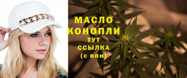 мет Инсар