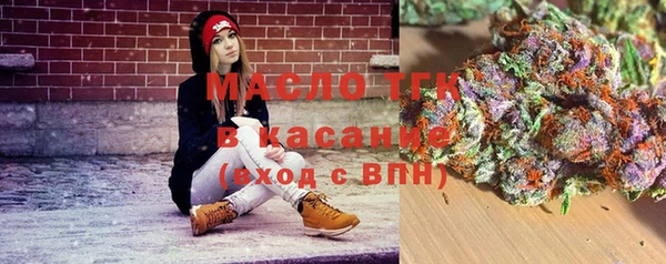 мет Инсар