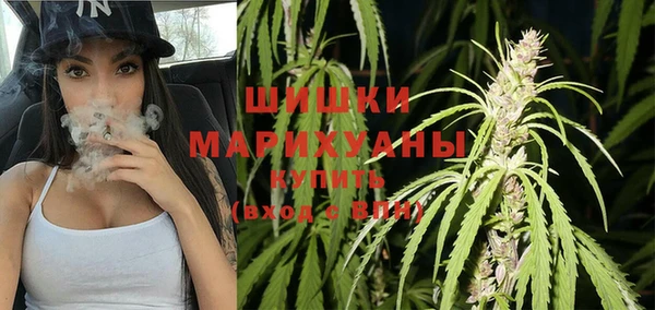 мет Инсар