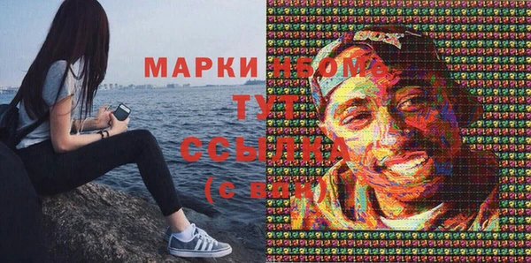 мет Инсар