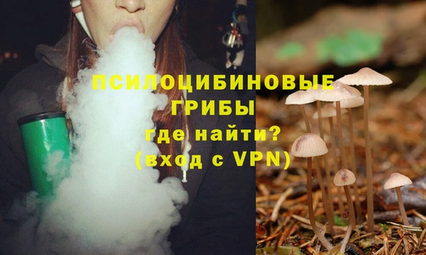 мет Инсар