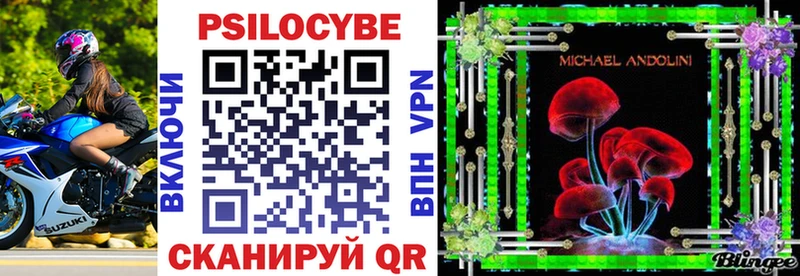 Псилоцибиновые грибы Psilocybine cubensis  Купить где  Козельск 